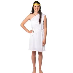 Budget Toga Woman Costume