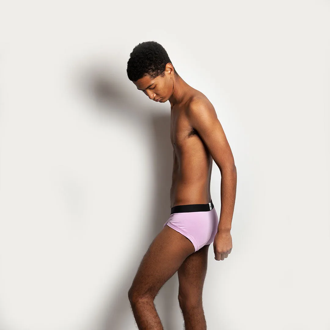 The Snow Lilac Brief